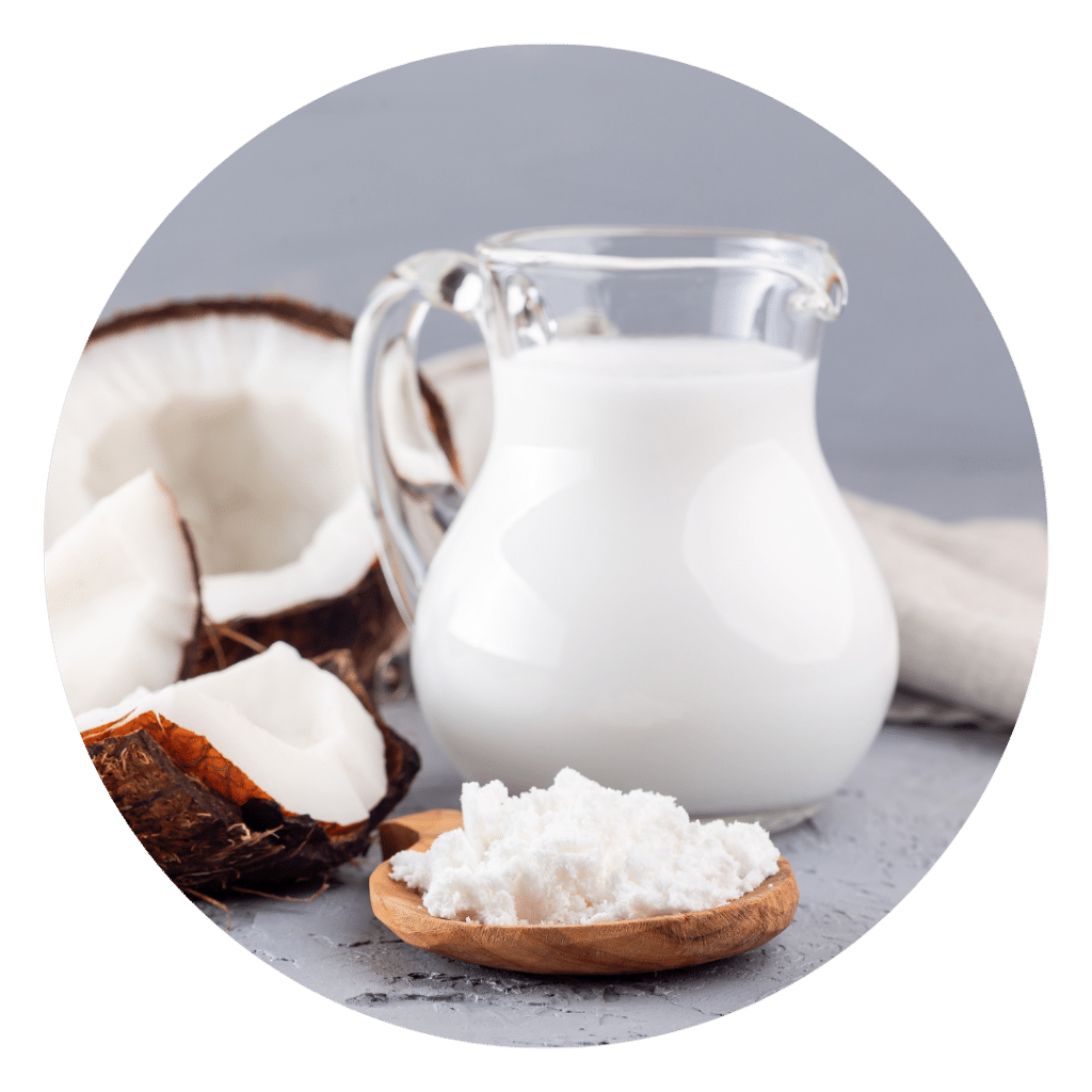 Coconut Milk Powder