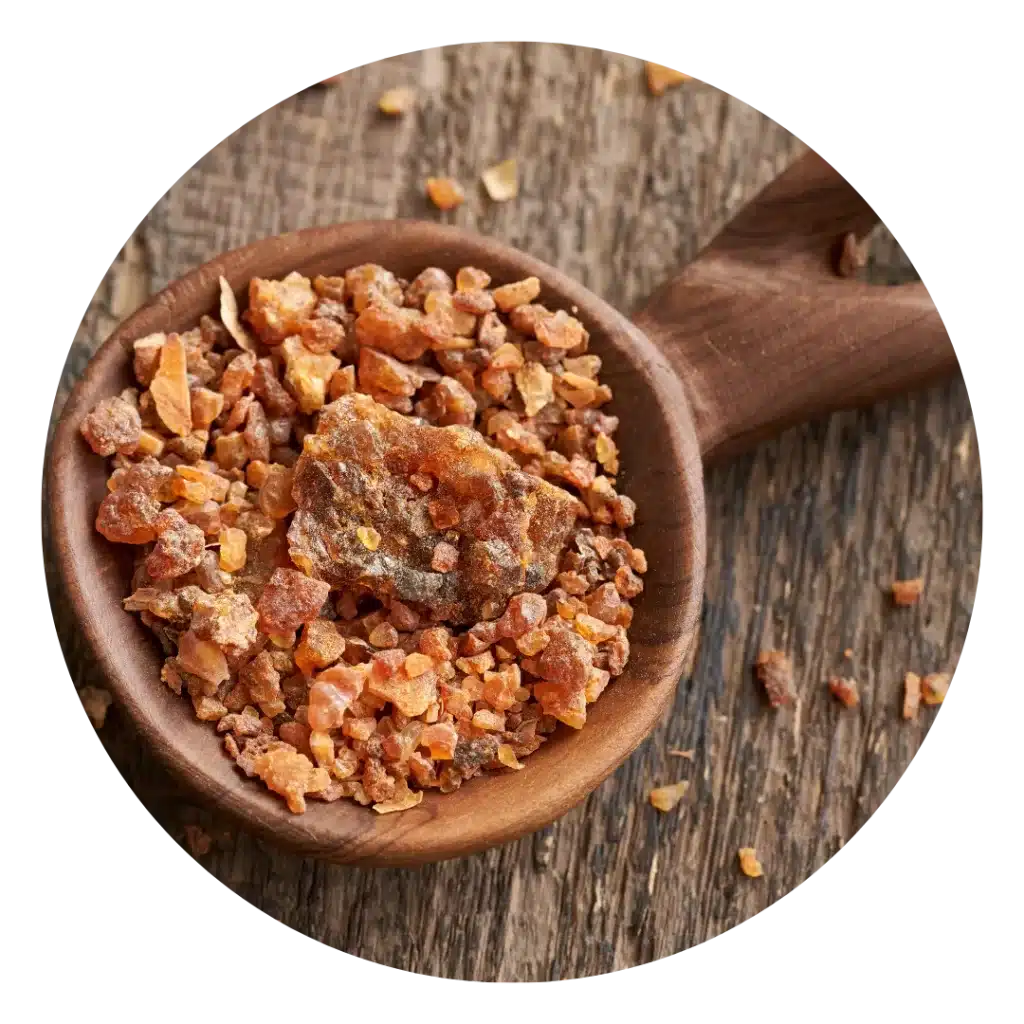 Myrrh Gum Resin