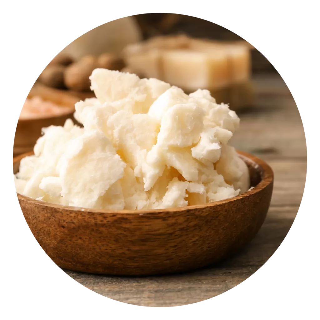 Nilotica Shea Butter