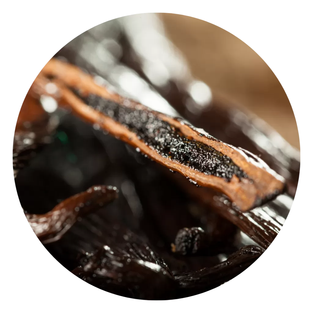 Vanilla Beans